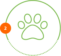 Höper Tierversicherungen Icon Pfote Schritt 2